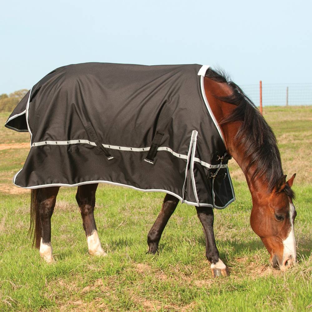 Classic Equine Windbreaker Sheet EquestrianCollections
