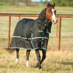 Classic Equine Turnout Sheets