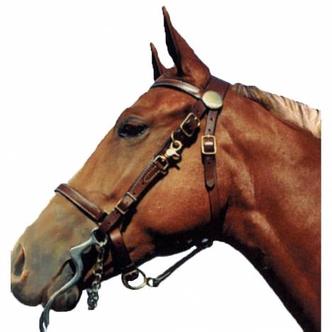 Shenandoah Leather Halter Bridle Combo