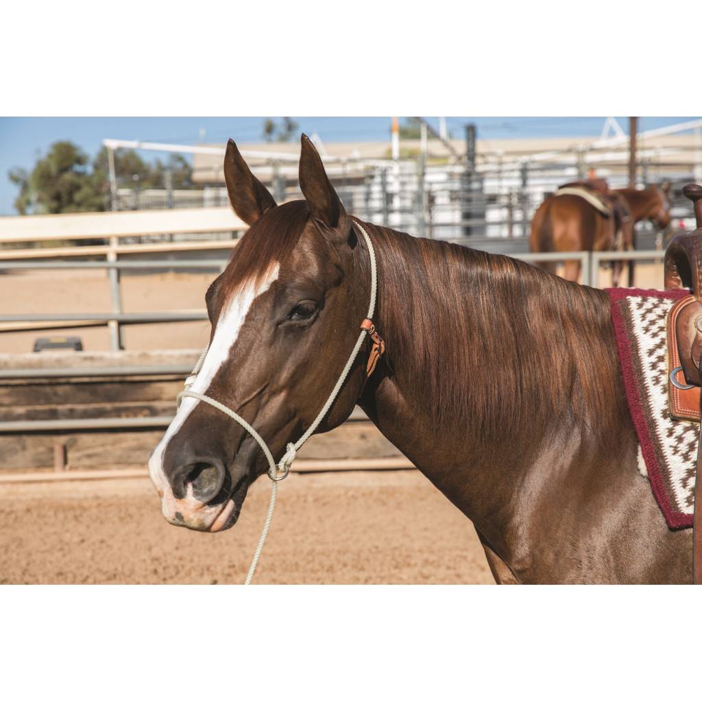 Schutz by Professionals Choice Training Halter