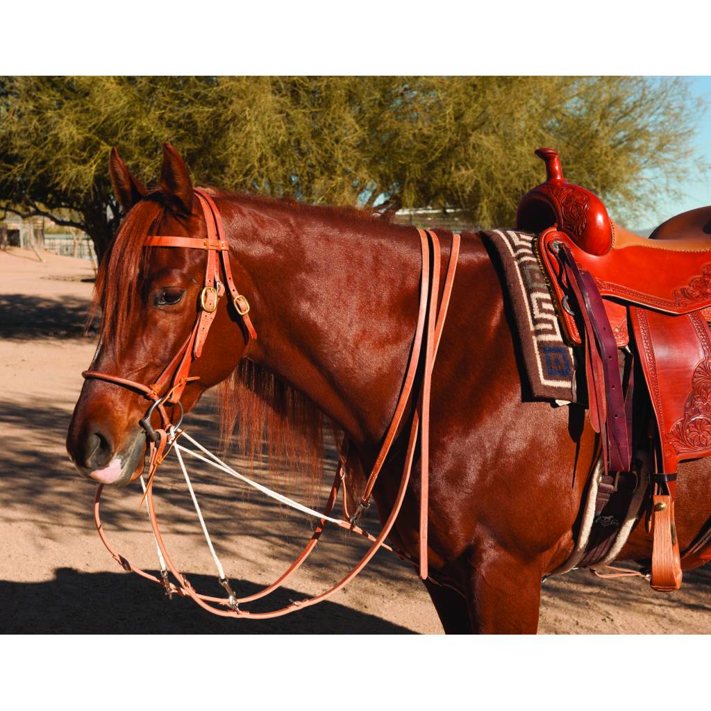 Al Dunning by Professionals Choice Split Rein German Martingale