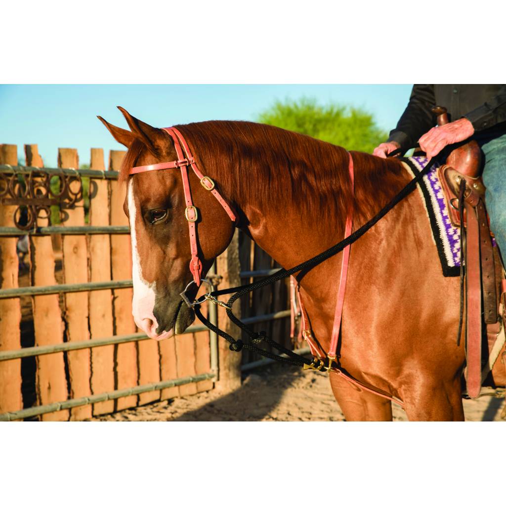 Al Dunning by Professionals Choice Draw Rein Martingale