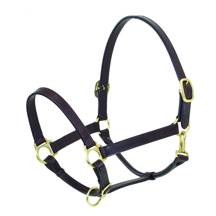 Ovation Elite Stable Halter