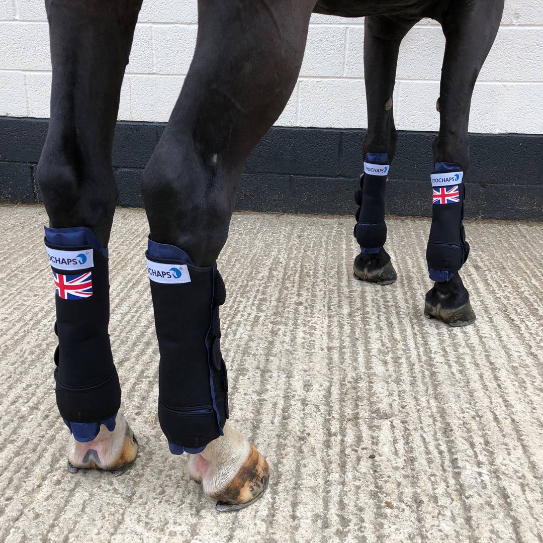 Cryochaps Quad- Set of 4-Horse