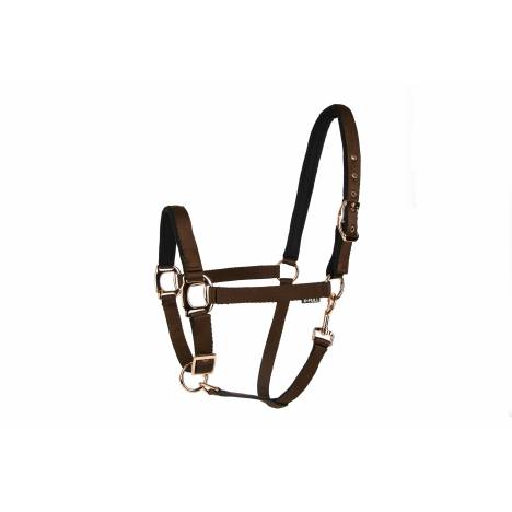 Lettia Rosegold Breakaway Halter with Tab