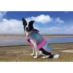 Equisafety Equestrian Dog Blankets