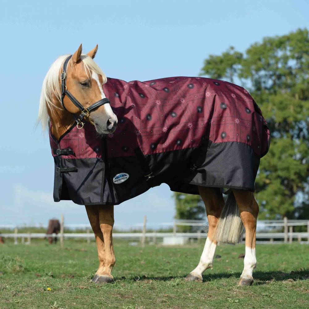 Weatherbeeta ComFiTec Essential Standard Neck Medium Turnout