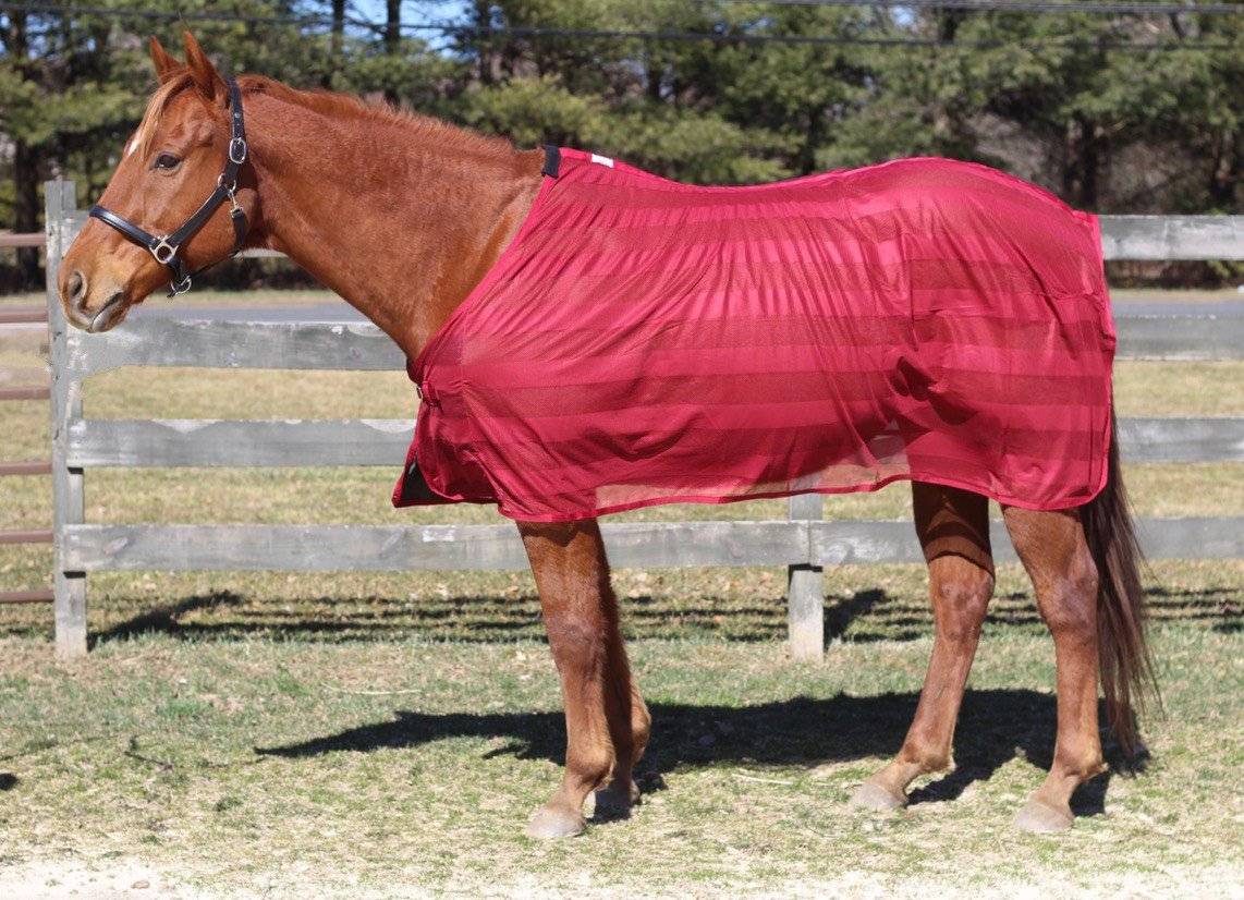 Tough 1 Deluxe Miniature Fly Scrim Sheet