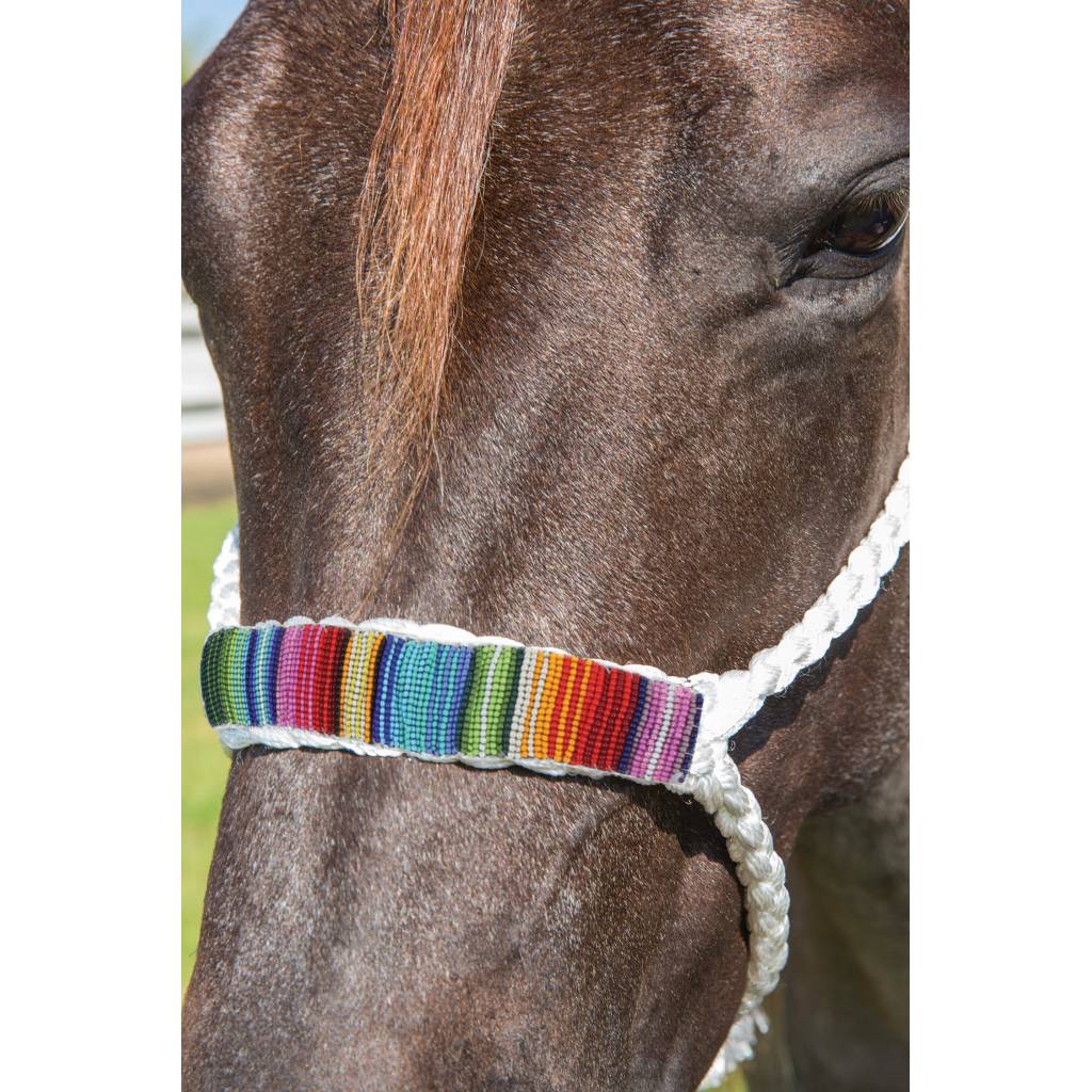 Professionals Choice Cowboy Braided Halter 10' Lead