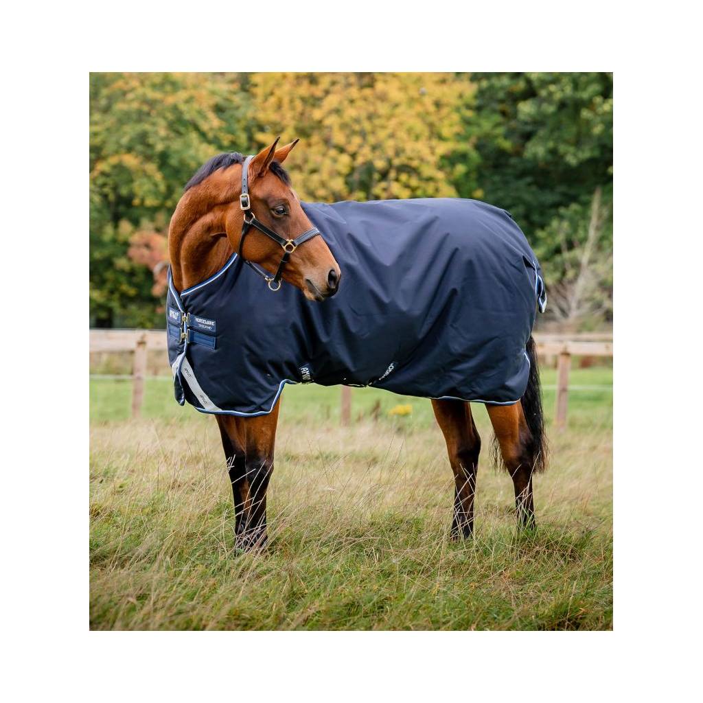 Amigo Bravo 12 Original Turnout Blanket (250g Medium)