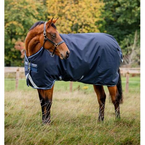 Amigo Bravo 12 Original Turnout Blanket (250g Medium)