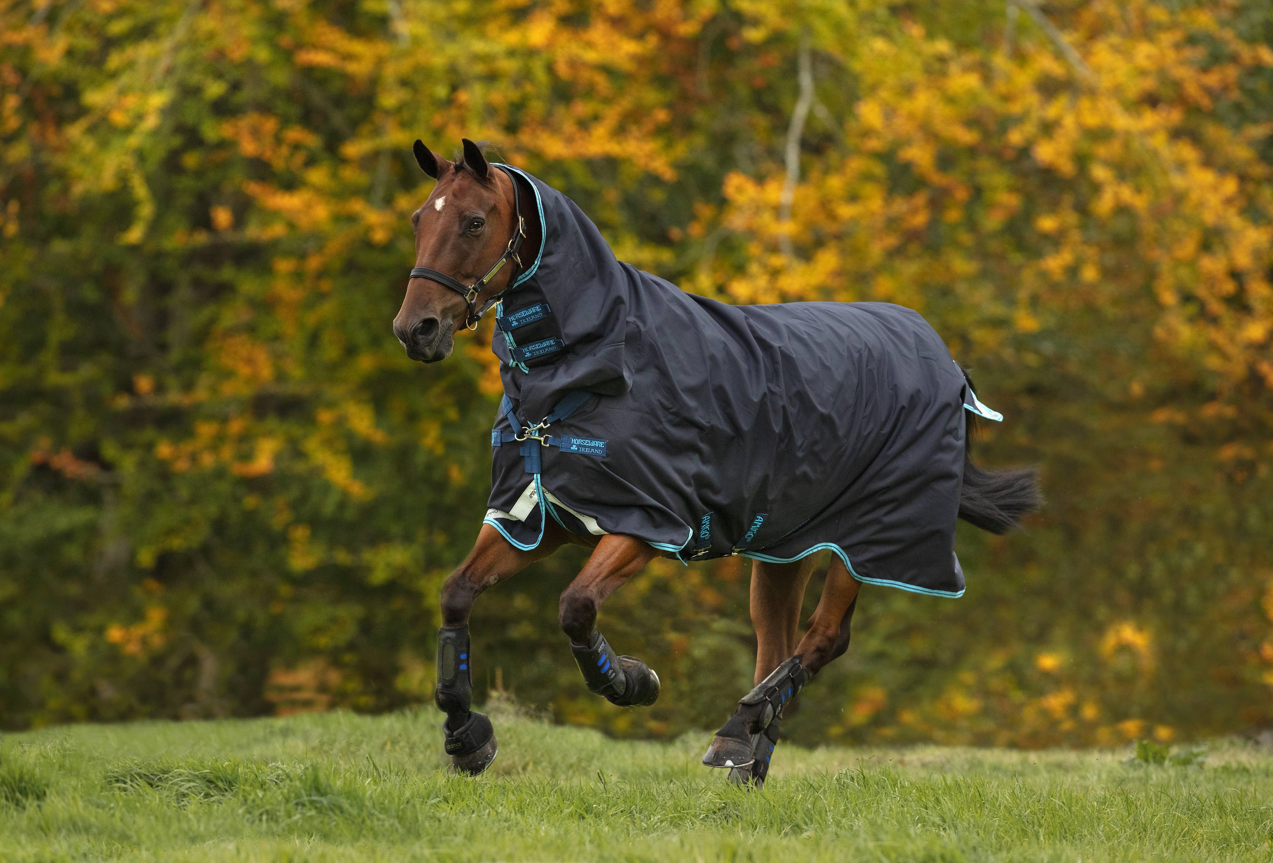 Amigo Bravo 12 All-in-One Turnout Blanket (400g Heavy)