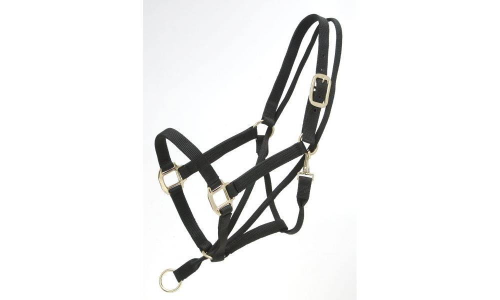 Tough1 Eagle Equine PullBack Halter EquestrianCollections