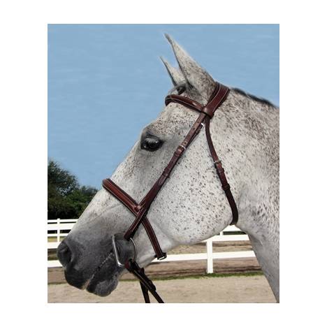 Henri de Rivel Pro Mono Crown Padded Bridle