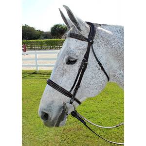 Henri De Rivel Pro Mono Crown Fancy Bridle