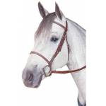 Kincade English Horse Bridles