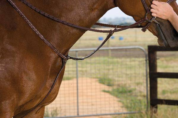 EquiRoyal Running Breastplate Attachment Brown