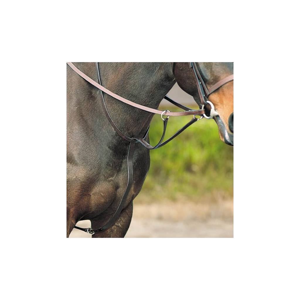 Kincade Flat Running Martingale