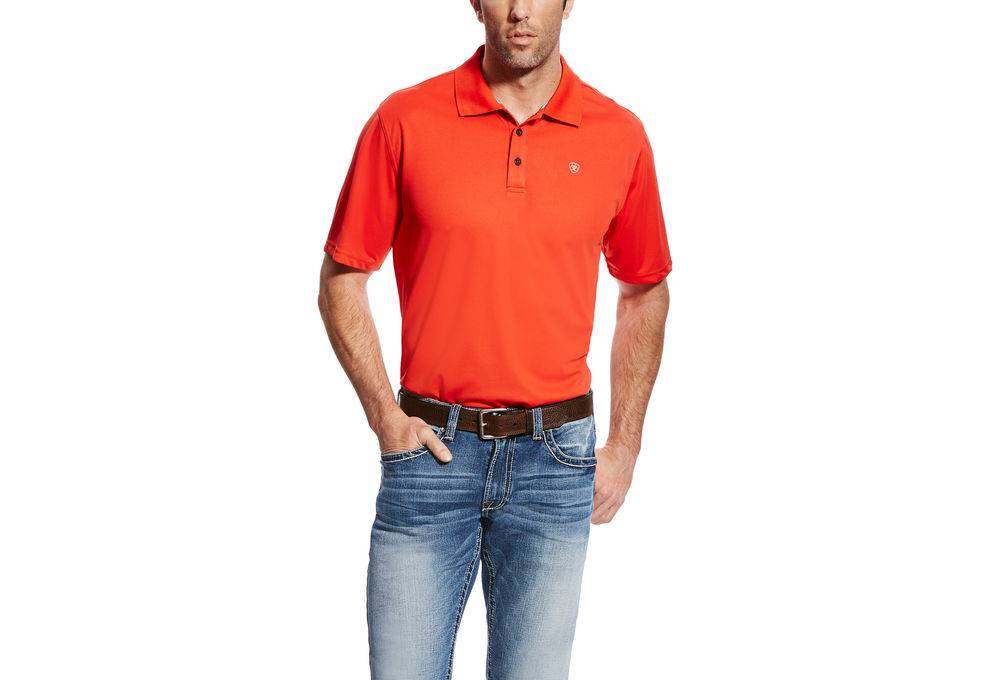 tek gear mens polo shirts