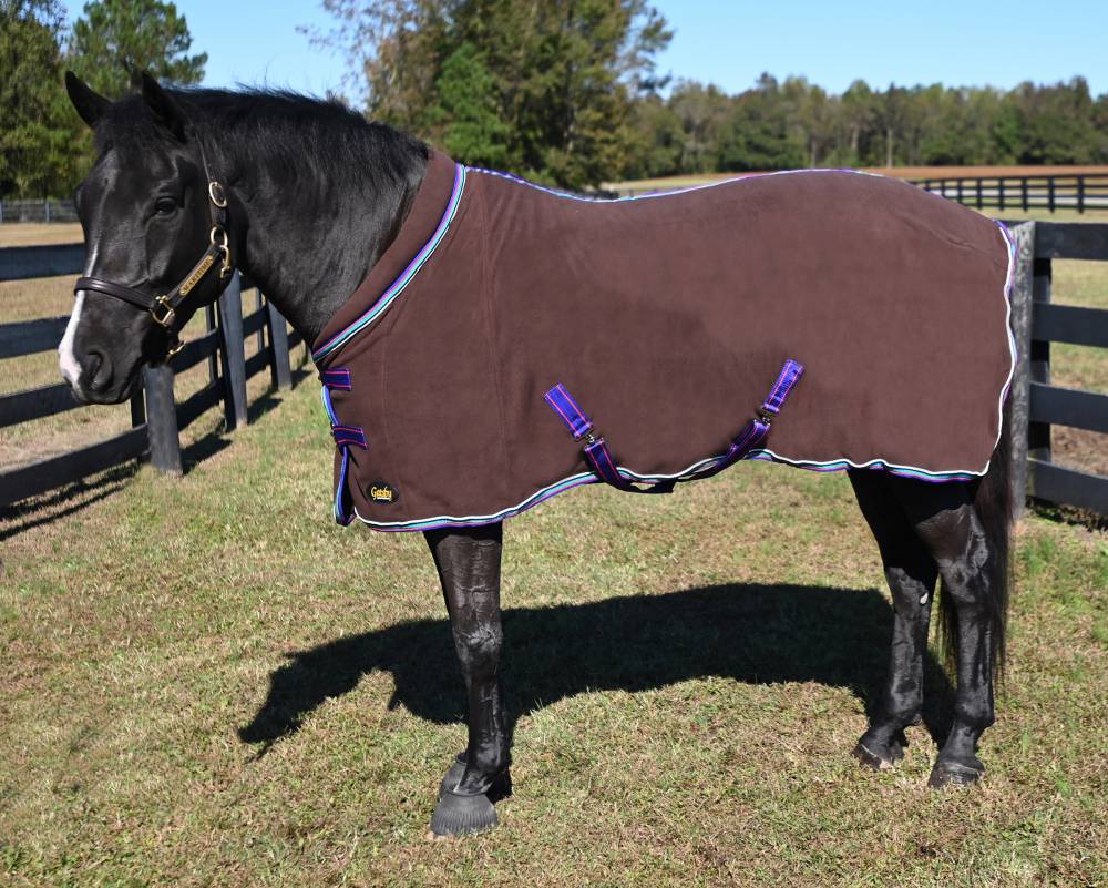 Gatsby Premium AntiPilling Fleece Sheet with Padded Neck Flash