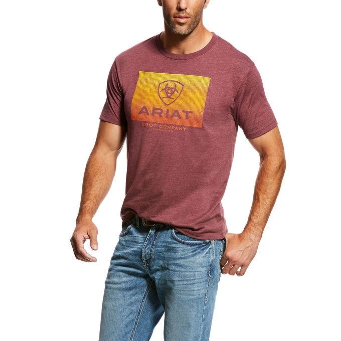 Ariat Mens Gradient T-Shirt