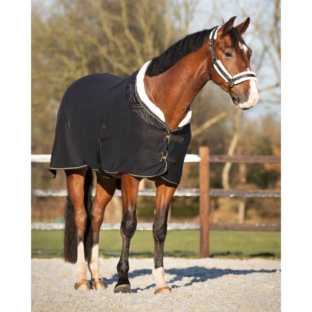 QHP Menton Show Rug