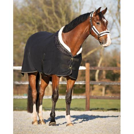 QHP Menton Show Rug