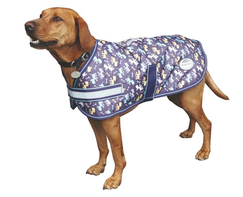 Joules weatherbeeta 2024 dog coat