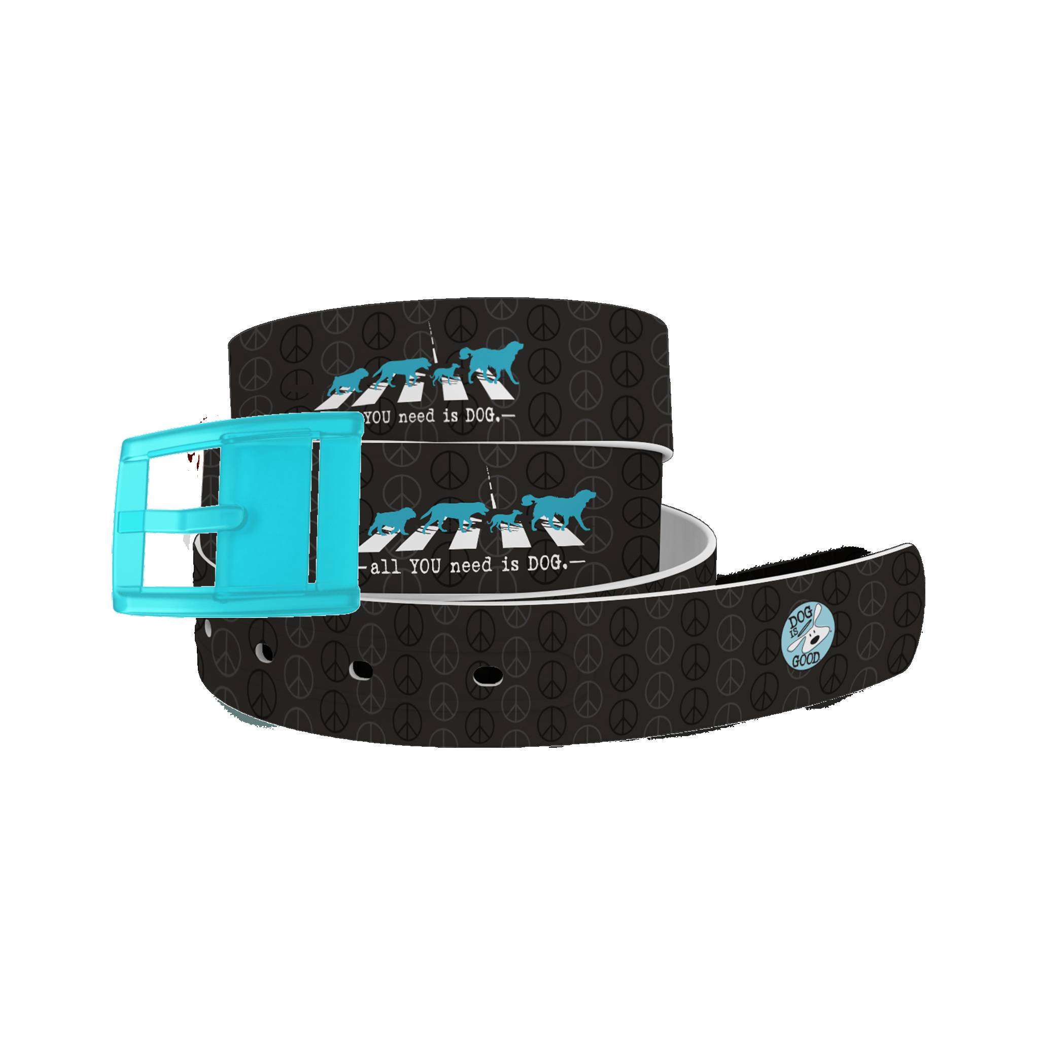 C4 Belt DIG Abbey Road Belt with Baby Blue Buckle Combo