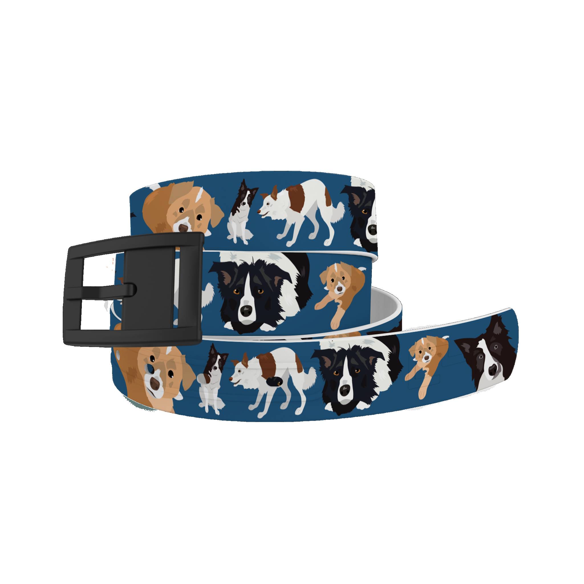 C4 Belt Border Collie Belt with Black Buckle Combo