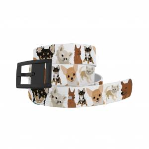 C4 Belt Chihuahua Belt with Black Buckle Combo