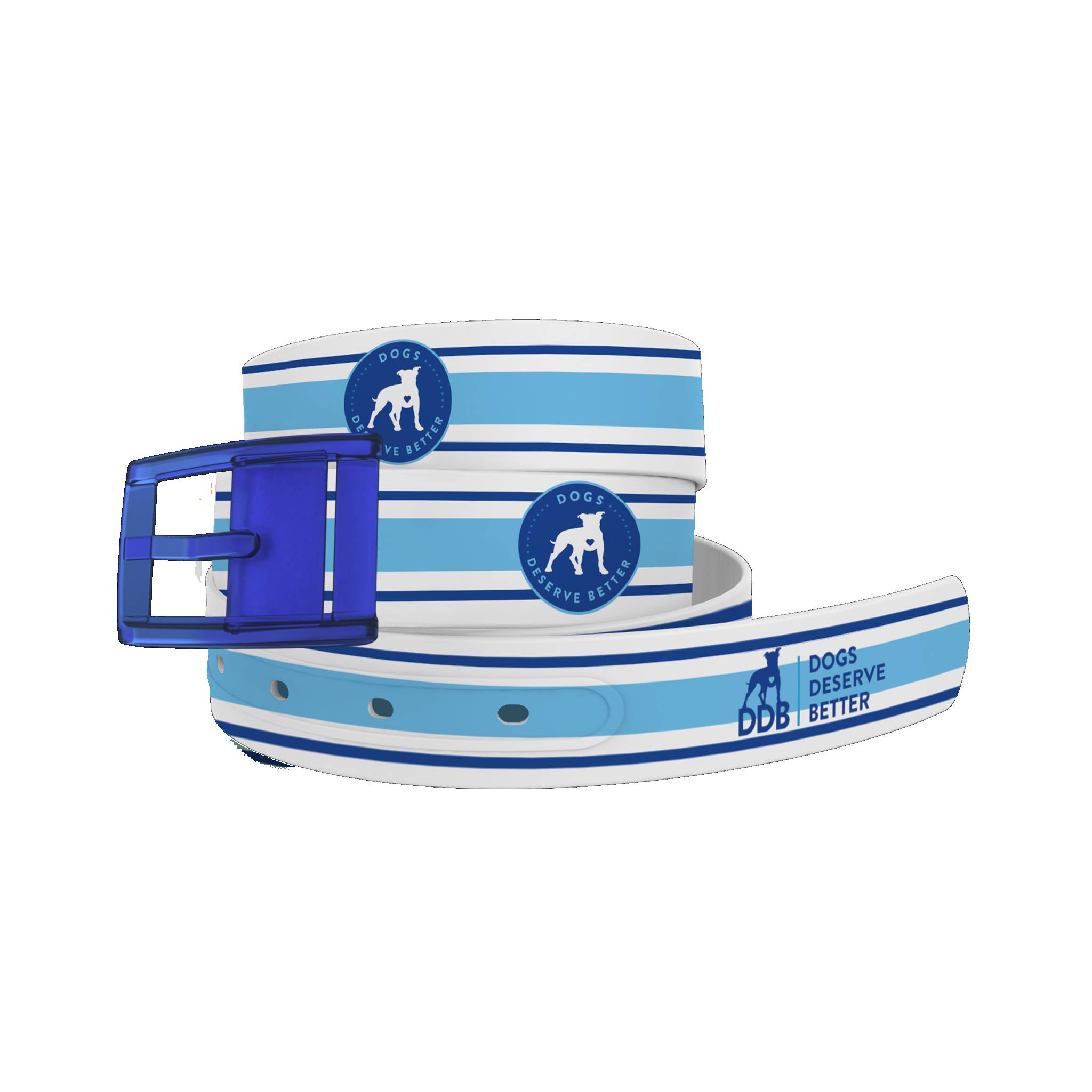 C4 Belt DDB Stripes Belt with Blue Buckle Combo