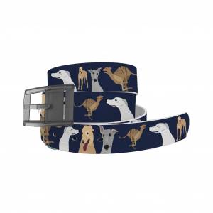 C4 Belt Greyhound Belt with Grey Buckle Combo