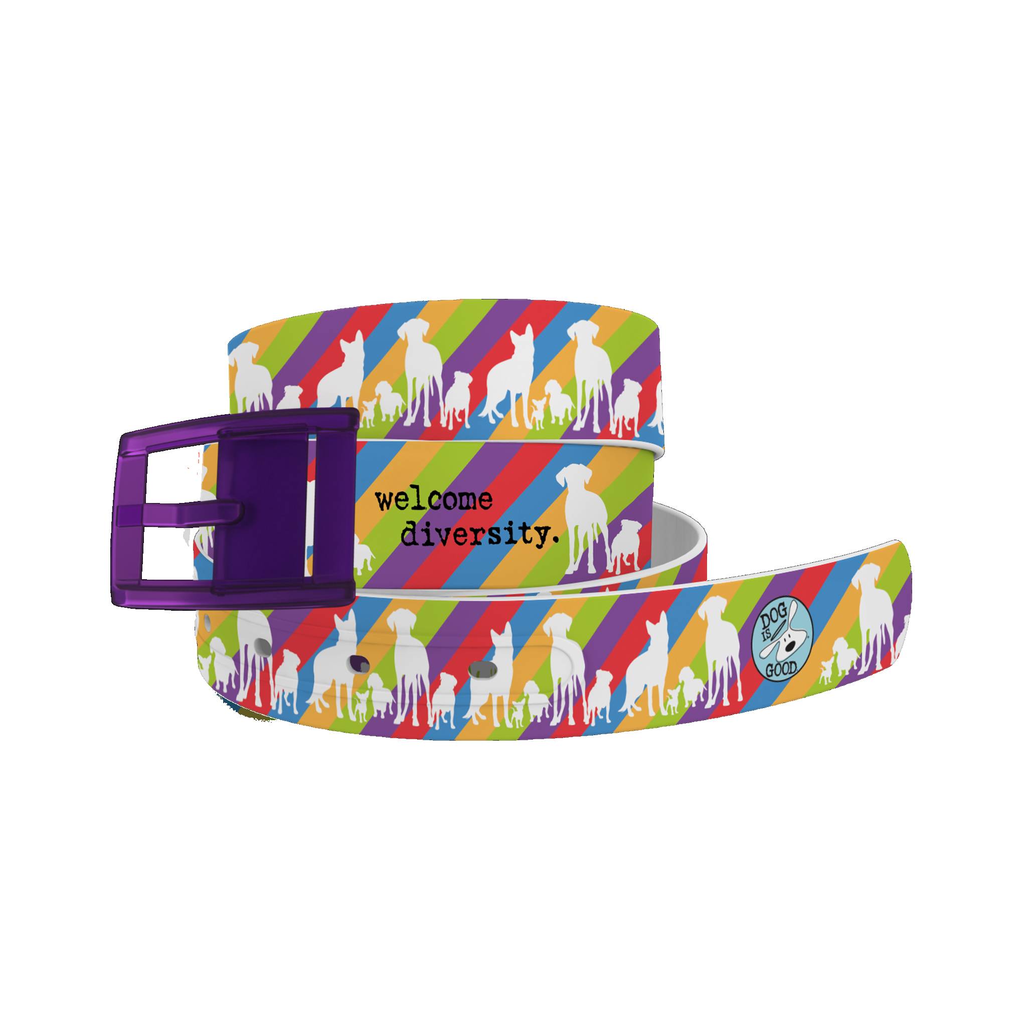 C4 Belt DIG Welcome Diversity Belt with Plum Buckle Combo