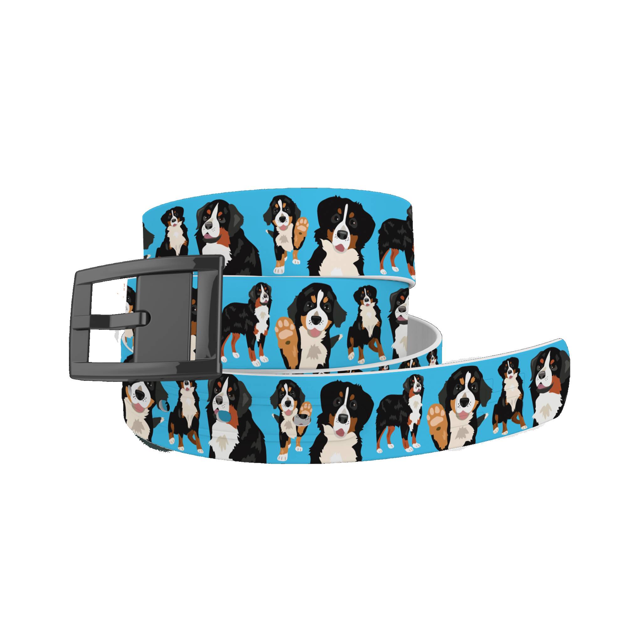 4-119114 C4 Belt Bernese Mountain Dog Belt with Black Chrom sku 4-119114