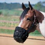 Weaver Grazing Muzzle w/Crown