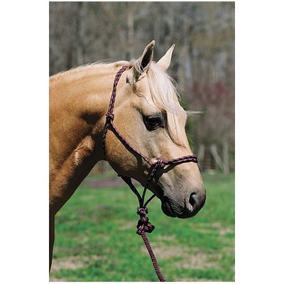 Lami Cell Mountain Rope Halter