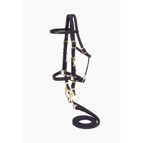 Australian Outrider Collection Nylon Bridle/Halter Combination