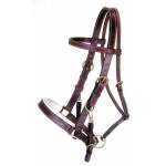 Australian Outrider Collection Leather Bridle/ Halter Combination