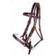 Australian Outrider Collection Leather Bridle/ Halter Combination