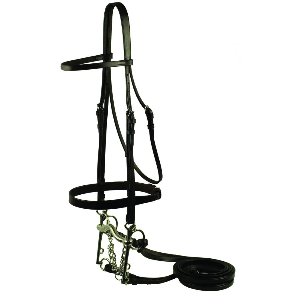 Gatsby Flat Pelham Bridle EquestrianCollections