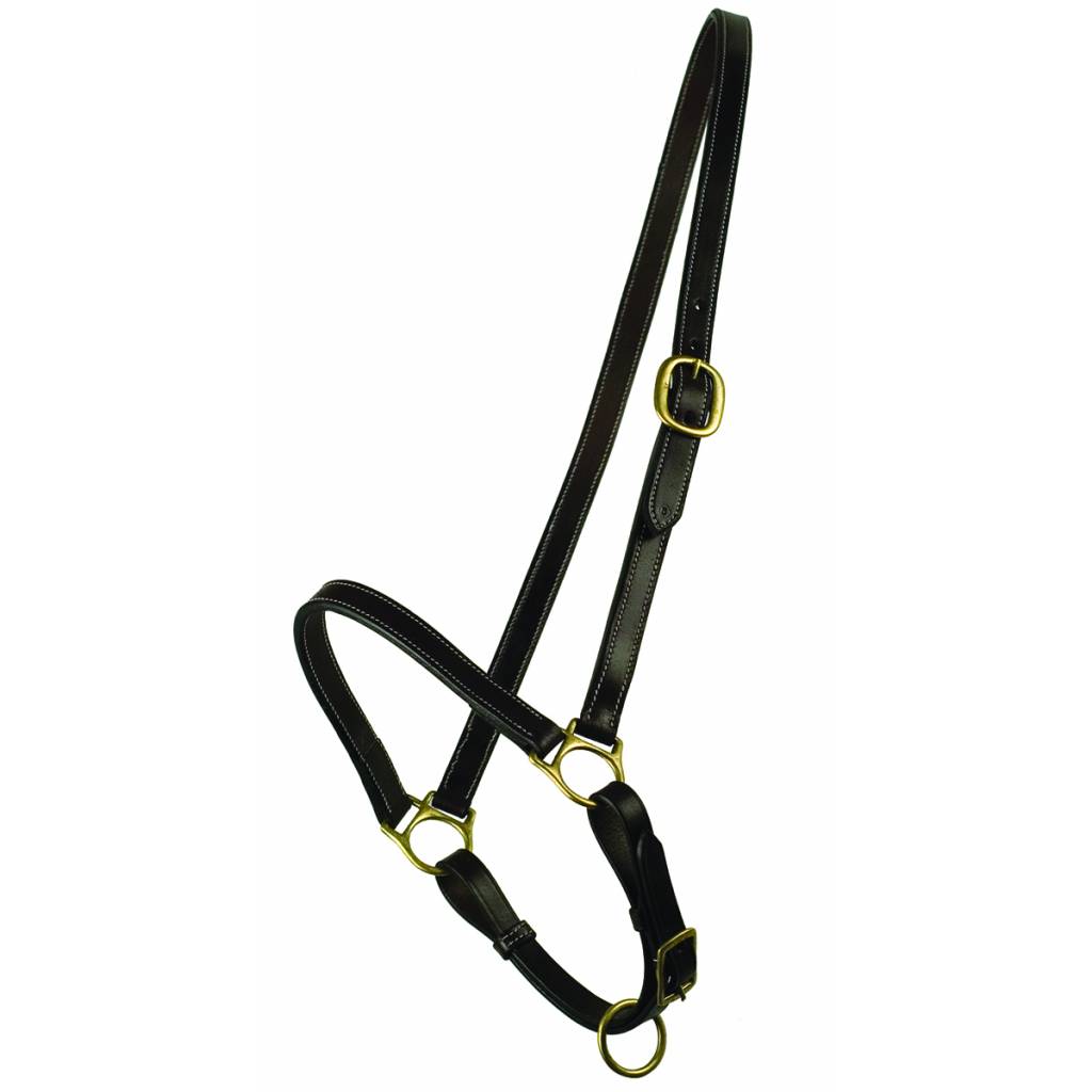 Gatsby Grooming Halter