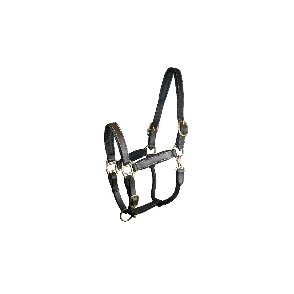 Gatsby Padded Leather Halter Fully Adjustable