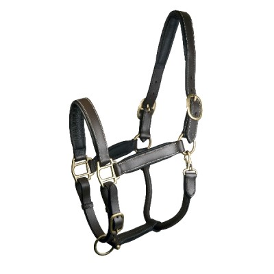 Gatsby Padded Leather Halter Fully Adjustable