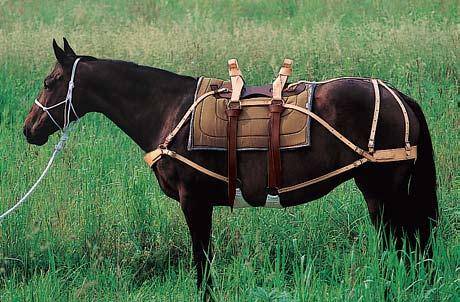 5-331587 Weaver Deluxe Sawbuck Pack Saddle with Leather sku 5-331587