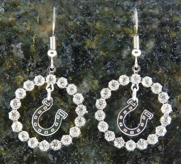 Finishing Touch Crystal Ring Horseshoe Fish Hook Earrings