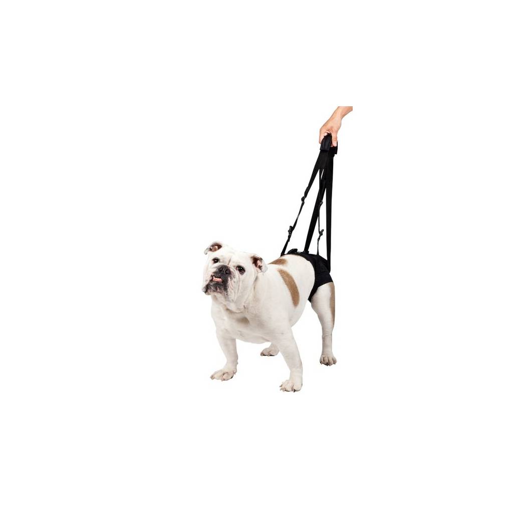 Lift Em Up Mobility Harness Rear