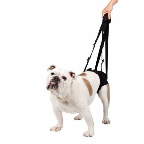 Lift Em Up Mobility Harness Rear