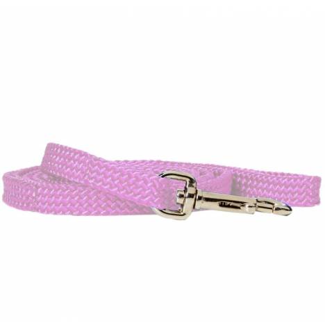 Rainbow Nylon Puppy Lead