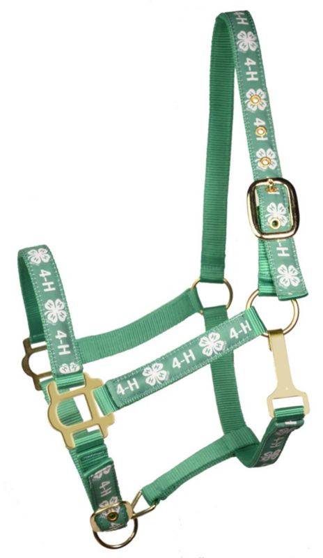 4H Classic Adjustable Nylon Halter with Snap